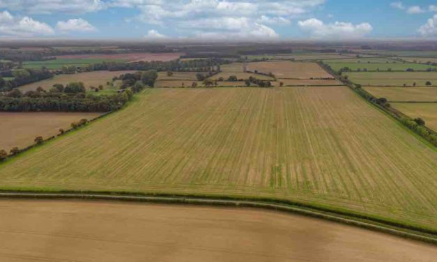 Farmland price rises ease as supply levels increase
