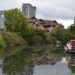 Hounslow establishes Nature Recovery Stakeholder Board