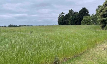 Housebuilder acquires land for 300-home mixed-use scheme