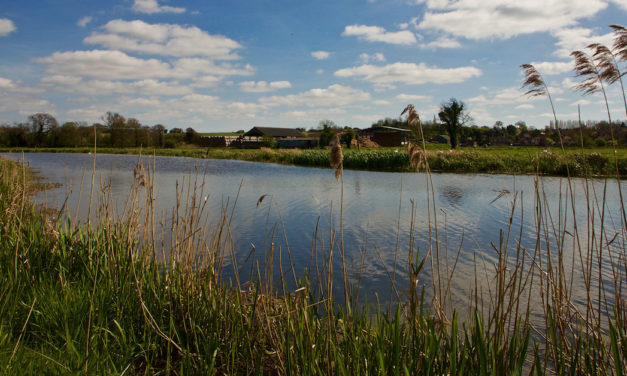 Felixstowe Hydrocycle rides waves of innovation to tackle looming water crisis