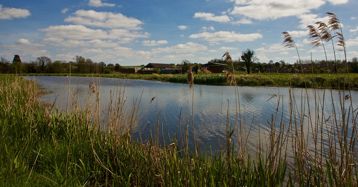 Innovative nature-based solution to unlock new homes given green light