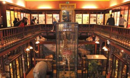 Tenders invited for museum renovation