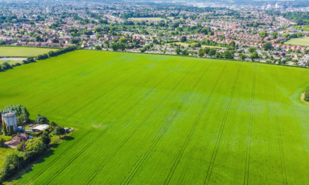 East of England development land market remains ‘steady’ despite wider pressures