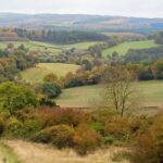 Surrey improves its 10,000 acre countryside estate