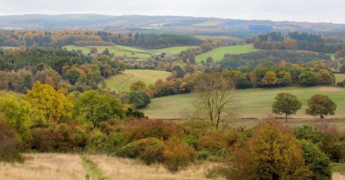 Surrey improves its 10,000 acre countryside estate