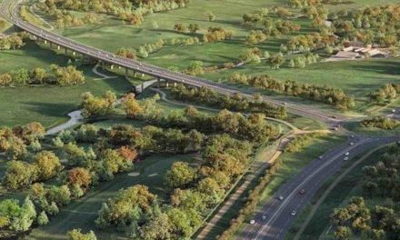 Council to lobby ministers over £274m road scheme blocked by bats