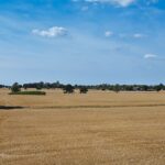 Eastern England supply of publicly marketed farmland decreases by 16 per cent