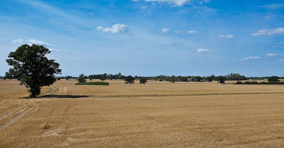 Eastern England supply of publicly marketed farmland decreases by 16 per cent