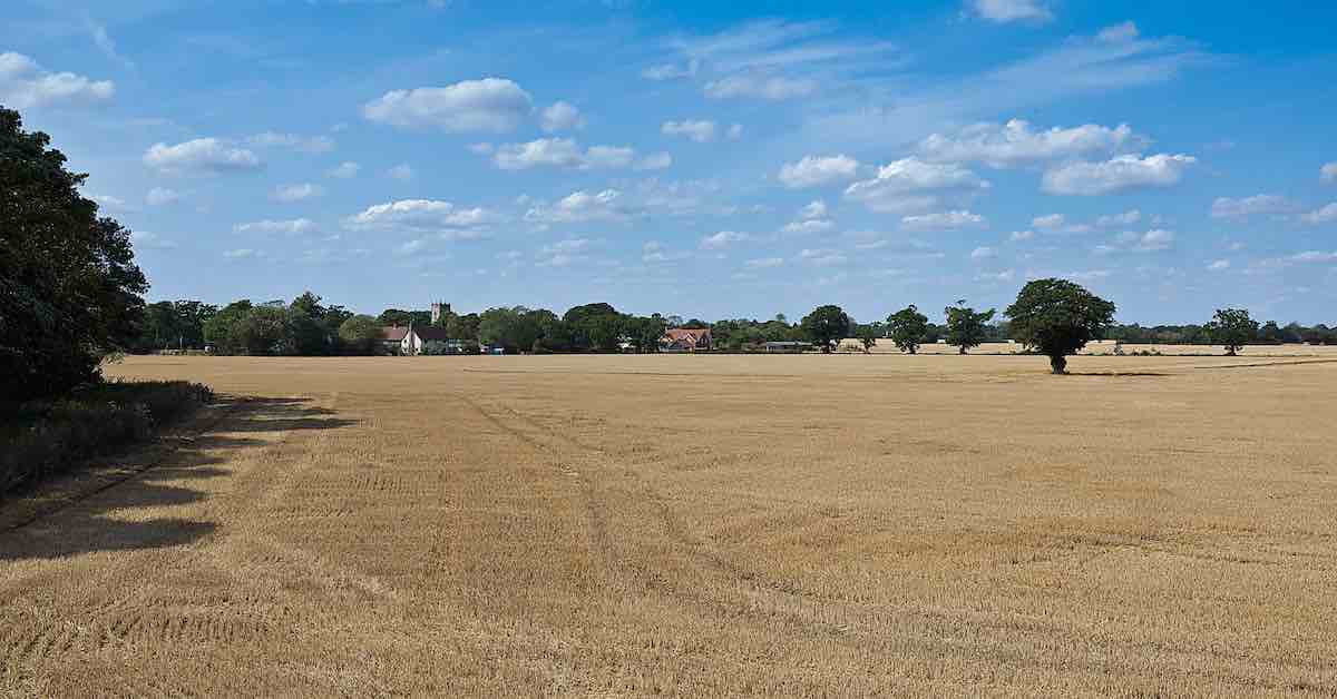 resilient-year-ahead-for-rural-land-prices-uk-property-forums