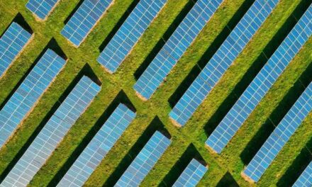 88-hectare solar farm planned for Bucks farmland