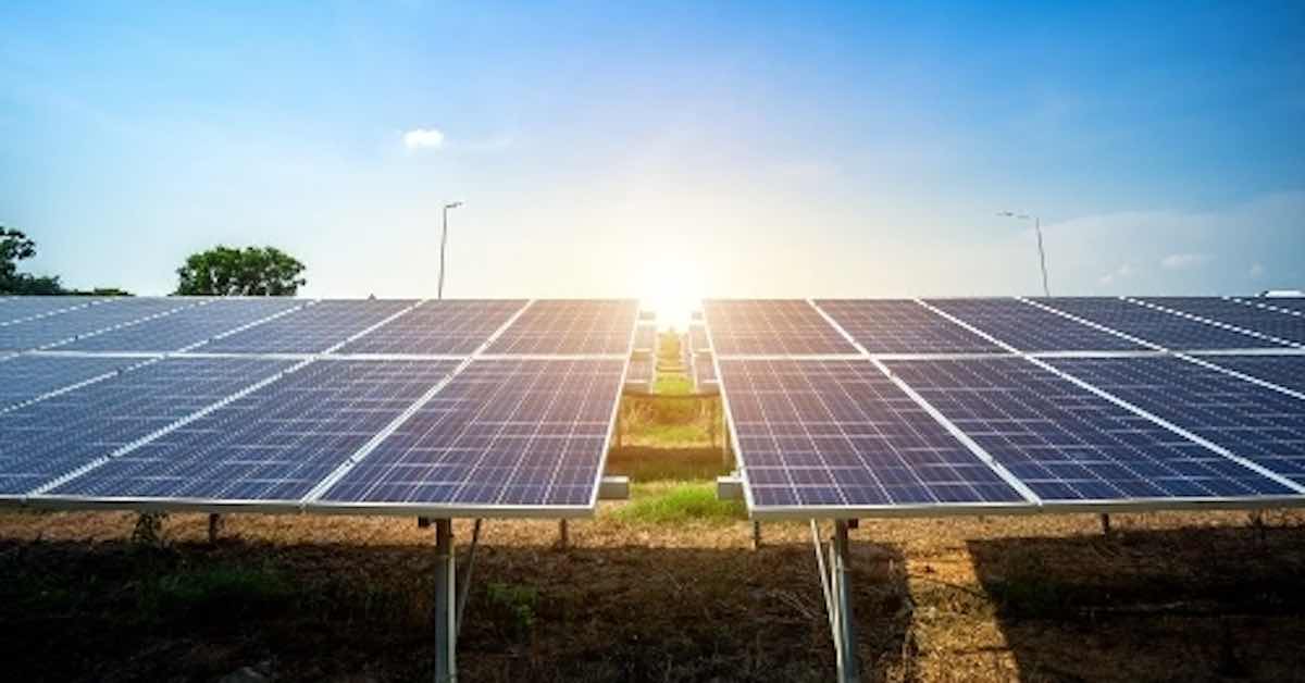 Contractor needed for 30-hectare solar farm