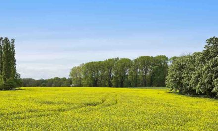 More farmland is coming to market