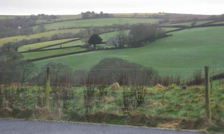 Cautious welcome for Labour’s Green Belt plans