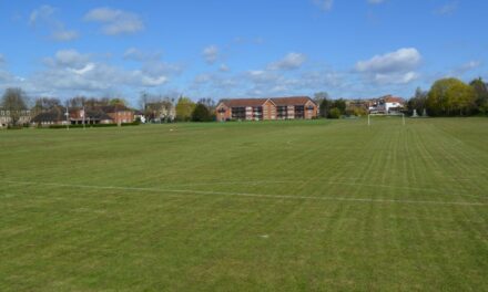 The Udney Park saga rolls on