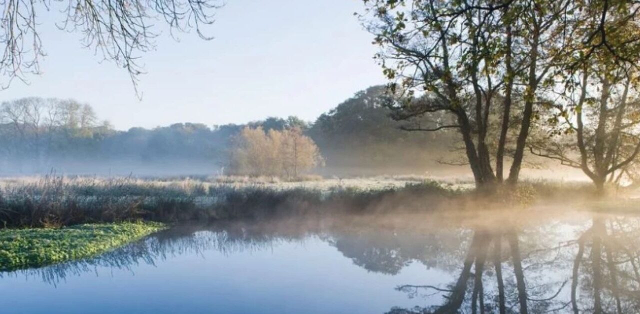 Waverley consults on the Godalming Navigations Conservation Area