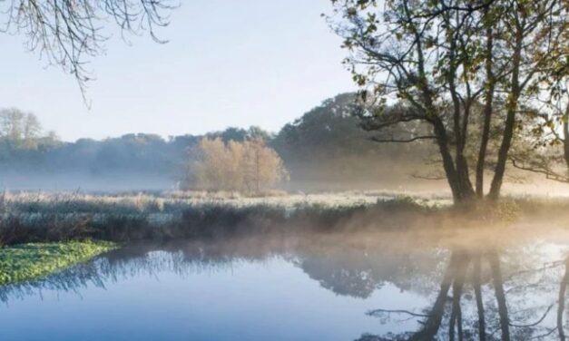 Waverley consults on the Godalming Navigations Conservation Area