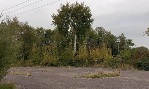 Croudace buys former caravan site from Worthing